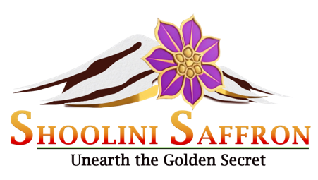 footer-logo